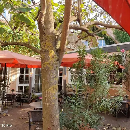 住宿加早餐酒店 Weingut Weinstube Weinhotel Wolf