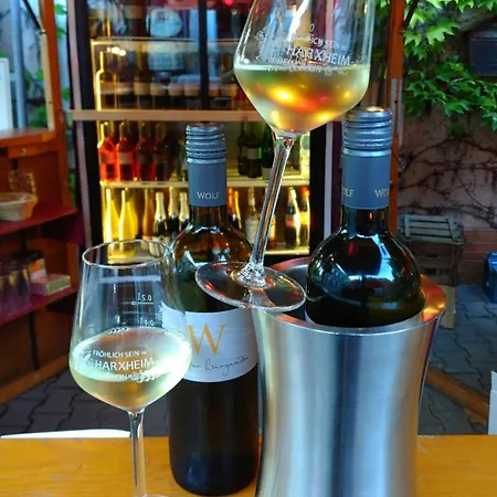 住宿加早餐酒店 Weingut Weinstube Weinhotel Wolf 3*